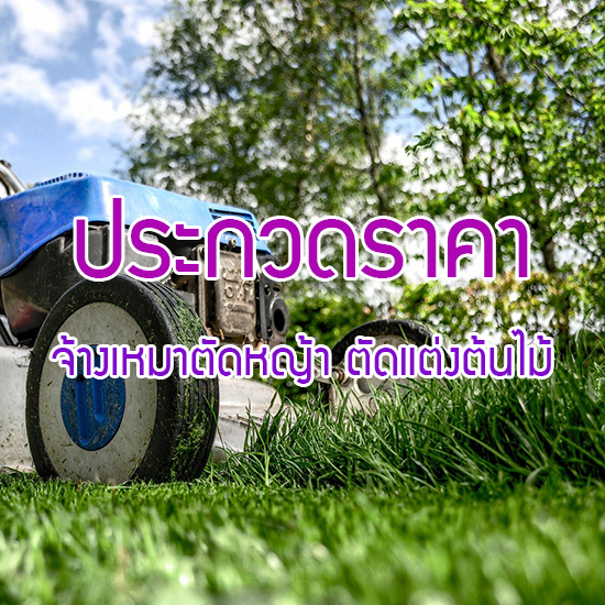 ประกวดราคาจ้างเหมาตัดหญ้า ตัดแต่งไม้พุ่ม โดยรอบ สจล. วิทยาเขตชุมพร